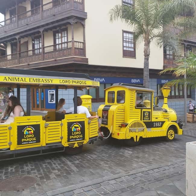 1-2 hour walking route through Puerto de la Cruz, Tenerife - Meeting at the pier: the fisherwoman statue and the yellow scarf