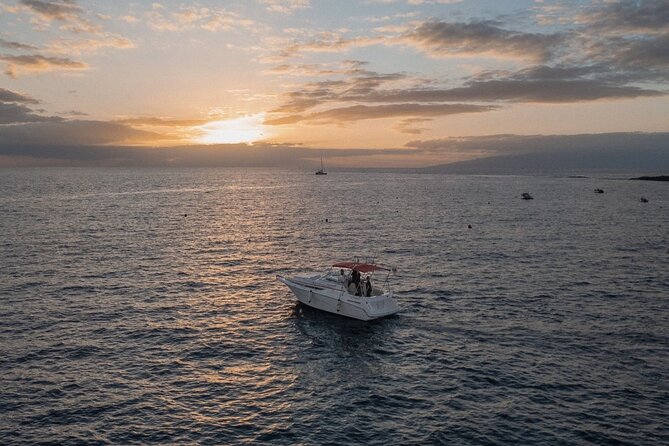2 Hour VIP Private Luxury Sunset Boat Charter in Tenerife - Key Highlights You’ll Actually Feel Onboard