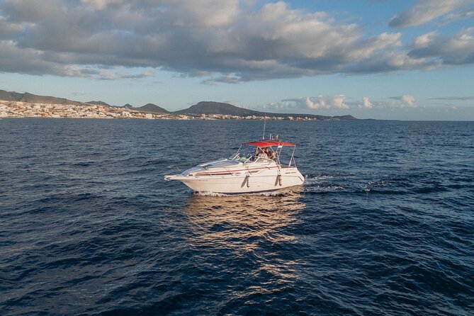 2 Hour VIP Private Luxury Sunset Boat Charter in Tenerife - Weather Matters Here, So Plan With Flexibility