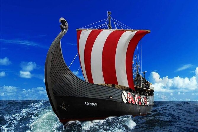 2h Viking Cruise Whales & Dolphins Watching - Who This Is Best For (And Who Might Prefer Something Else)