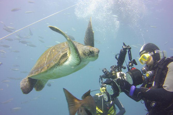 2x diving package, on request including refreshment - The Small-Group Advantage: Why It Feels Personal