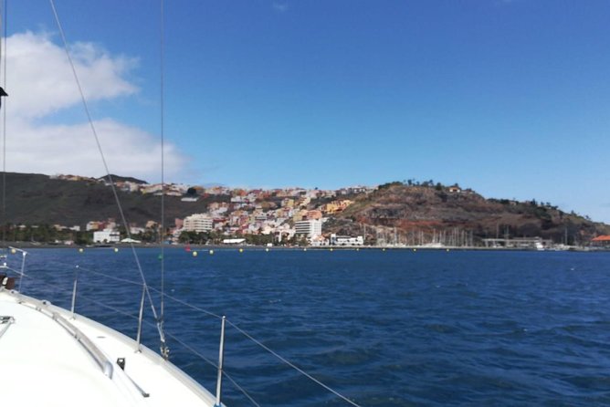 3-Hour Boat Trip from Costa Adeje in Tenerife - The captain factor: Felix Palmero and the wildlife search under sail