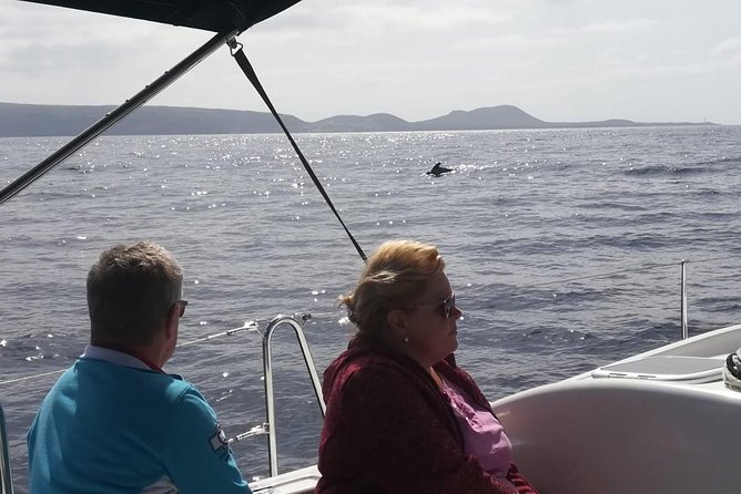 3-Hour Boat Trip from Costa Adeje in Tenerife - Stop time for swimming and snorkeling: make the most of the water breaks