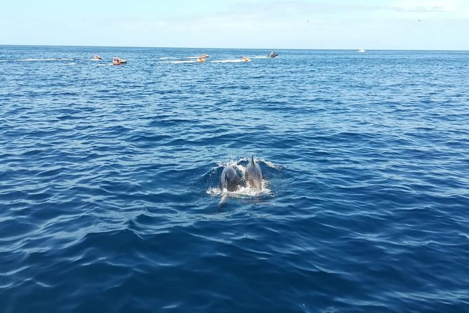 3-Hour Boat Trip from Costa Adeje in Tenerife - Seaquestff on the inside: what 13 metres and small numbers mean for comfort