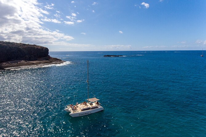 3-hour catamaran excursion along the Costa Adeje - Where You Meet: Puerto Colón, Pier 4 (and Why That’s Convenient)
