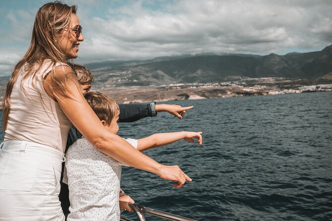 3-hour catamaran excursion along the Costa Adeje - Stop 1 at Costa Adeje: From Sailing to a Swim-Friendly Cove