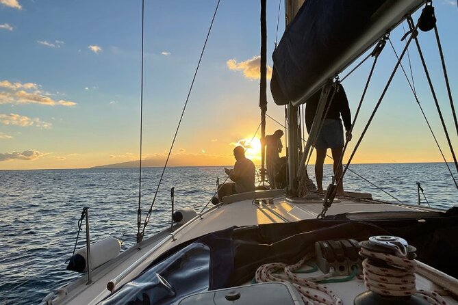 3-Hour Cetacean Watching and Snorkeling Tour in Tenerife - A sailboat cruise that makes whale watching feel personal