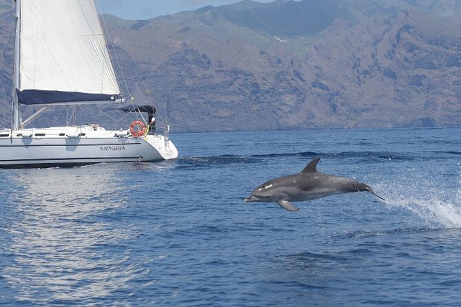 3-Hour Cetacean Watching and Snorkeling Tour in Tenerife - Acantilado de los Gigantes time, plus tapas and drinks
