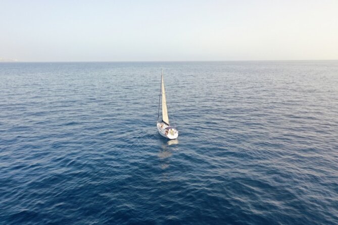 3-Hour Cetacean Watching and Snorkeling Tour in Tenerife - Is it worth $21? The value math that actually matters
