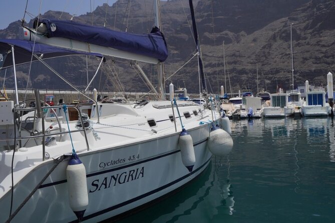 3-Hour Cetacean Watching and Snorkeling Tour in Tenerife - Where you meet, and how to make it easy on yourself