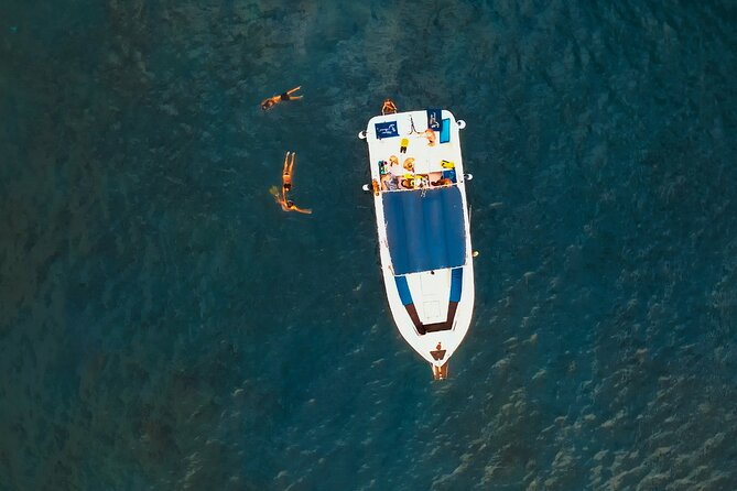 3-hour excursion to Puerto Colón Adeje to see whales - The First 30 Minutes: Sailing Toward Gomera for Pilot Whales and Dolphins