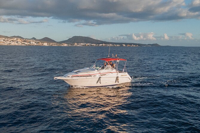 3 Hour VIP Private Luxury Boat Charter in Tenerife - Snorkeling equipment and sea time: how to make it easy on yourself
