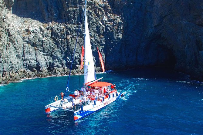3-hour Whale and Dolphin Watching and Listening Tour - Key Things I’d Put at the Top of Your List