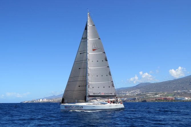 3 Hours All Inclusive Whale and Dolphin Whatching Yacht Trip - How Whale and Dolphin Watching Really Feels From a Sailing Yacht