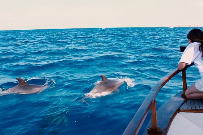 3-Hours Private Tour to Accessible Boat en Canary Island - What you might see, and how to set expectations