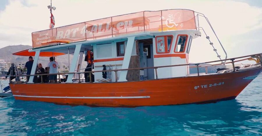 3H Shared Barrier-Free Cruise with Turtles Dolphins & Whales - The big hope: searching for whales, plus dolphins and pilot whales