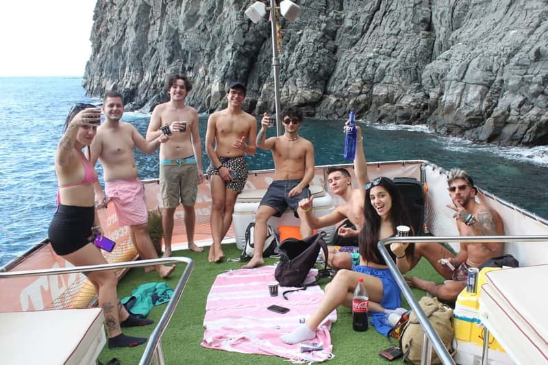 3H Shared Barrier-Free Cruise with Turtles Dolphins & Whales - Las Vistas Bay snorkeling and the platform option that changes the game