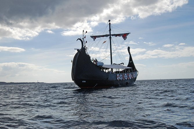 3h Viking Cruise with Drinks, Whales watching & Swimming Time - Drinks, games, and the Viking vibe that keeps energy up
