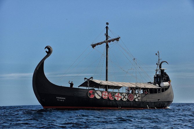 3h Viking Cruise with Drinks, Whales watching & Swimming Time - Food on board: what is included, what you’ll pay for