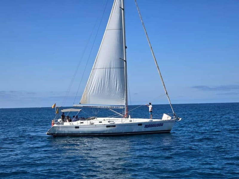 3h Whale Watching Share Tour Beneteau Oceanis 440 - Dolphin Viewing and Whale Watching on Tenerife’s South Coast