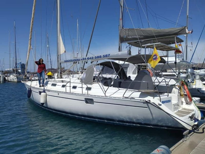 3h Whale Watching Share Tour Beneteau Oceanis 440 - The “Secret Stop” Break, Brunch, and Snorkeling Moment