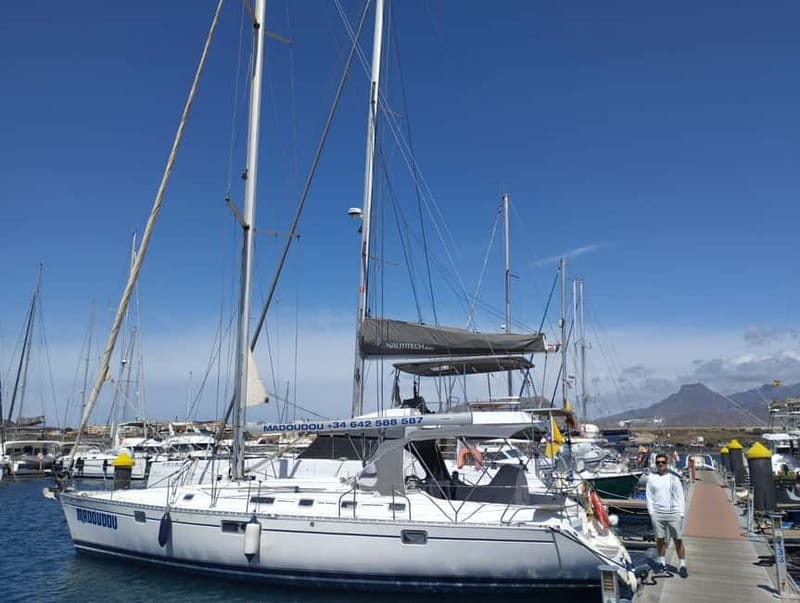 3h Whale Watching Share Tour Beneteau Oceanis 440 - Is the Price Good? My Take on Value at About $63