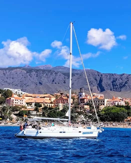 3h Whale Watching Share Tour Beneteau Oceanis 440 - What Sailing Time Actually Means on This 3-Hour Schedule