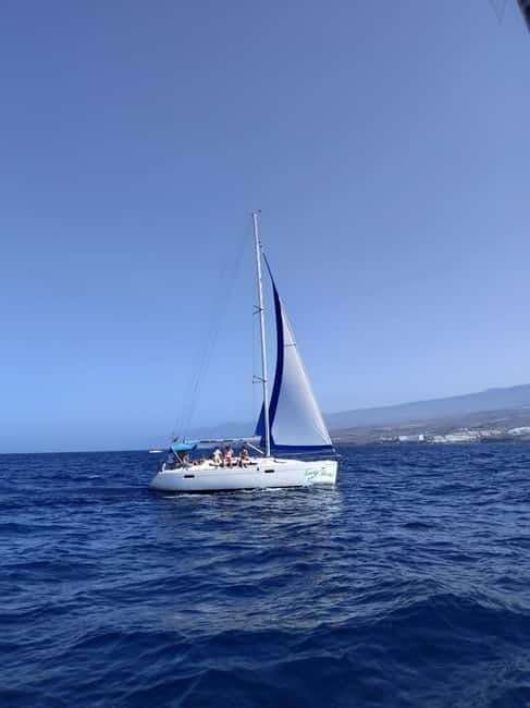 3h Whale watching Share Tour Costa Adeje Lina7 Mizendoha - Snorkeling and the On-Board Comfort Details You Actually Care About