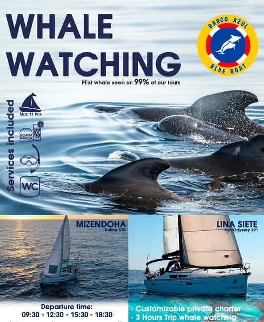 3h Whale watching Share Tour Costa Adeje Lina7 Mizendoha - Where You Board and What the Boat Is Like Once You’re In