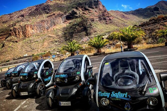 4 Hours Eco Safari Tour with Electric Car in Tenerife - Key things that make this Twizy safari worth your time