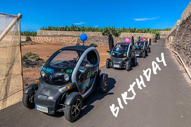 4 Hours Eco Safari Tour with Electric Car in Tenerife - Stop 3: Chio gourmet cottage industry, jams, chutneys, mojo sauce, and tastings