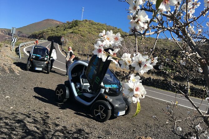 4 Hours Eco Safari Tour with Electric Car in Tenerife - Guide style with Dani and CB radio: how the day stays smooth