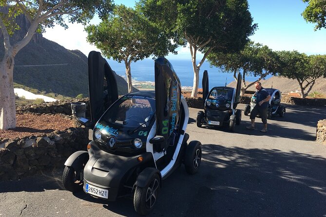 4 Hours Eco Safari Tour with Electric Car in Tenerife - Value check: what $96.79 buys you in real terms