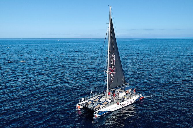 5 hr watching and listening whales and dolps. Visit Los Gigantes - Whales and dolphins on Tenerife’s south coast, done in a smart 5-hour format