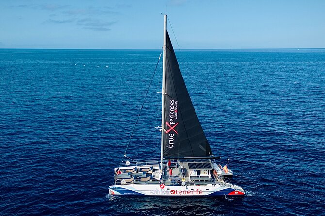 5 hr watching and listening whales and dolps. Visit Los Gigantes - Timing, group size, and what you should plan for