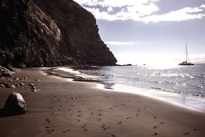 5 hr watching and listening whales and dolps. Visit Los Gigantes - Who should book this whale and dolphin catamaran day