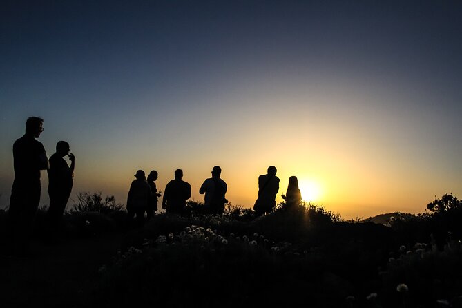 6-Hour Tour with Observation of the Stars 1242 with Lunch - A 5 to 6 hour Tenerife night-sky plan, with lunch included