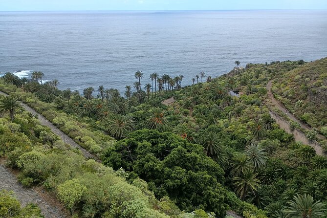 6hrs Private Tour in North Coast of Tenerife - Timing, Weather, and What to Pack for North Tenerife