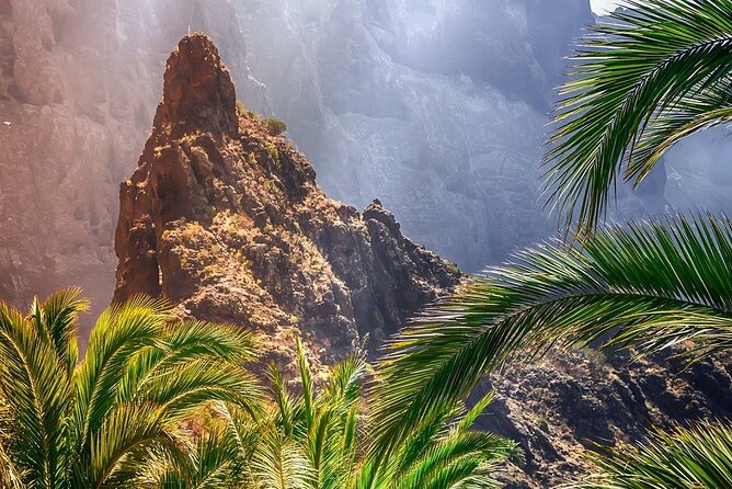 8-Hour Rental in a Luxury Car and Driver/Official Private Guide in Tenerife - Price, inclusions, and what to budget for meals