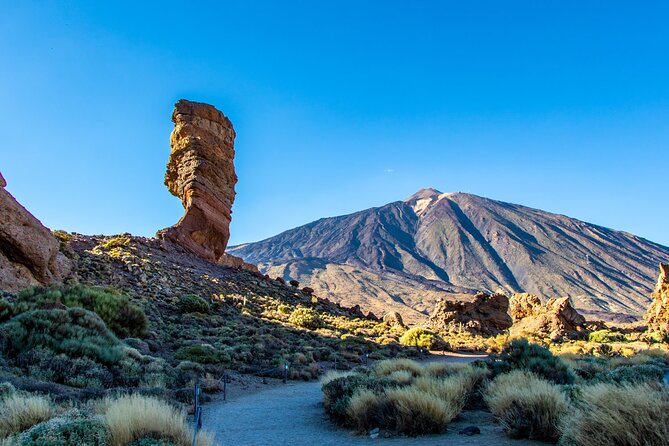 8-Hour Rental in a Luxury Car and Driver/Official Private Guide in Tenerife - Tips for booking and making the most of your private guide