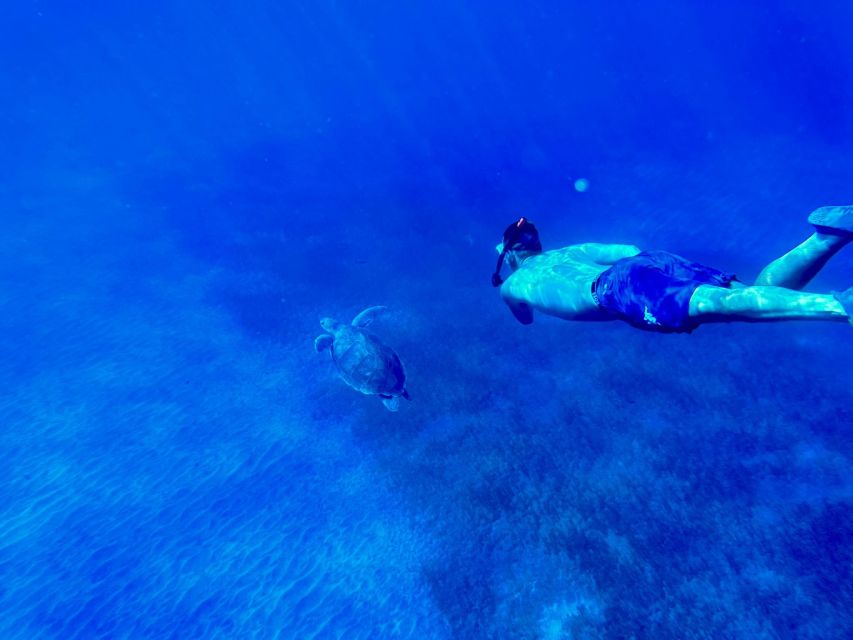 Abades: Guided Snorkeling Tour with Photos - Your 2-Hour Snorkel Plan: Briefing, Reef Time, and Guided Safety