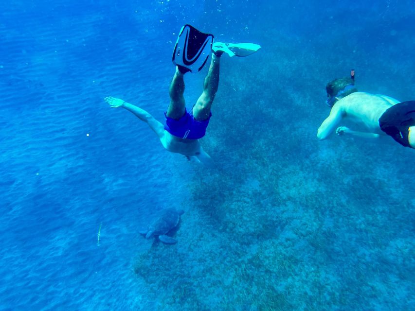 Abades: Guided Snorkeling Tour with Photos - What You’ll See Underwater, From Easy Wins to Rarer Moments