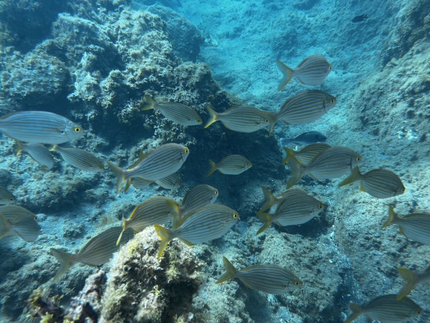 Abades: Guided Snorkeling Tour with Photos - The Big Selling Point: Photos and Videos You Keep for Free