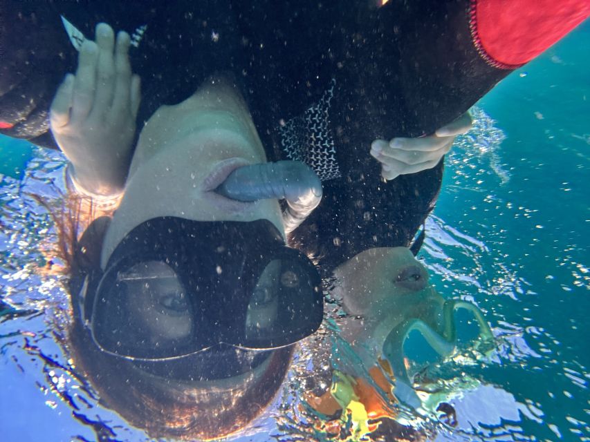 Abades: Guided Snorkeling Tour with Photos - Equipment, Wet Suit Comfort, and Why It Changes Everything