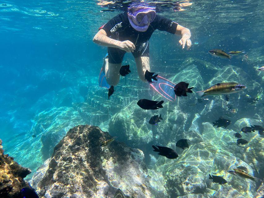 Abades: Guided Snorkeling Tour with Photos - Small Group Size: Better Control, Better Attention