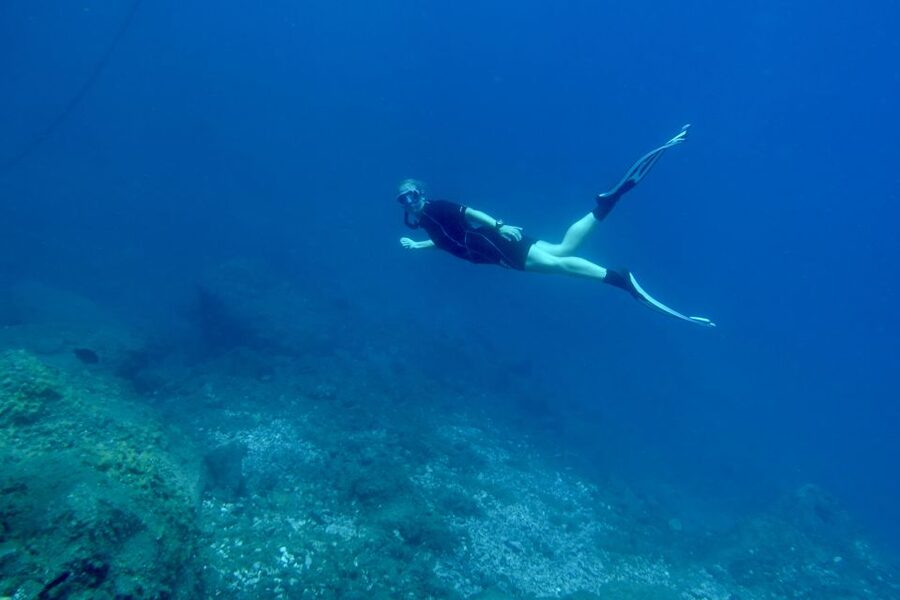 Abades: Guided Snorkeling Tour with Photos - Getting Started at Playa Abades: The Meet Point and the Quick Setup