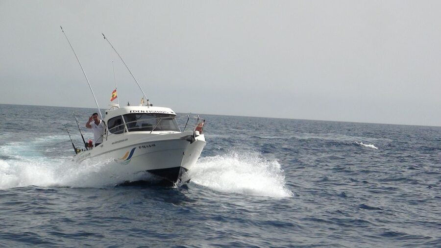 Adeje: 3.5–Hour Professional Fishing Experience - Key highlights you should know before you go