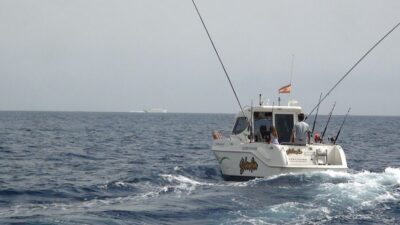 3.5–Hour Professional Fishing Experience
