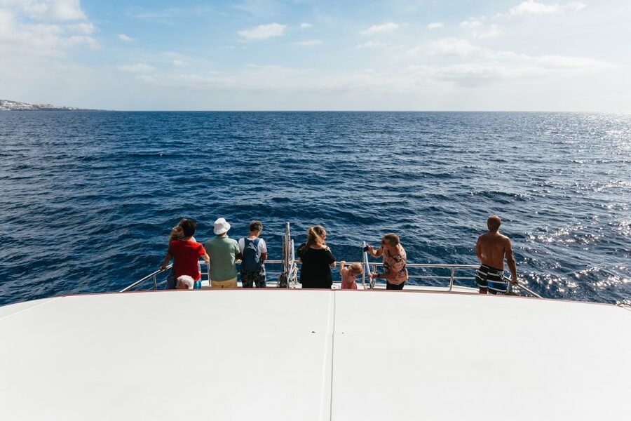 Adeje: Whale and Dolphin Watching Cruise with Lunch and Swim - Who this cruise fits best, families, first-timers, and animal lovers with limited time