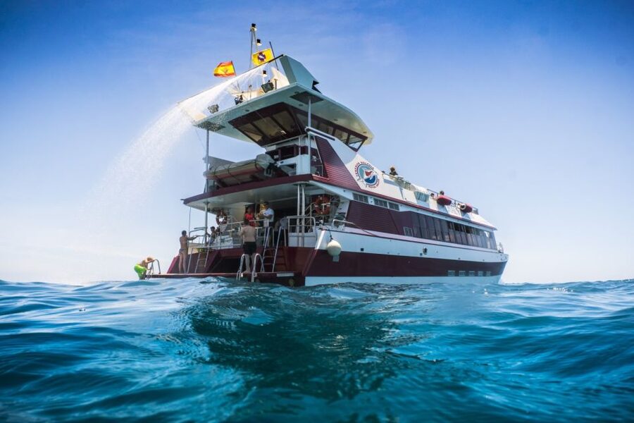 Adeje: Whale and Dolphin Watching Cruise with Lunch and Swim - On the Royal Delfín catamaran, the submarine windows are the star of the show